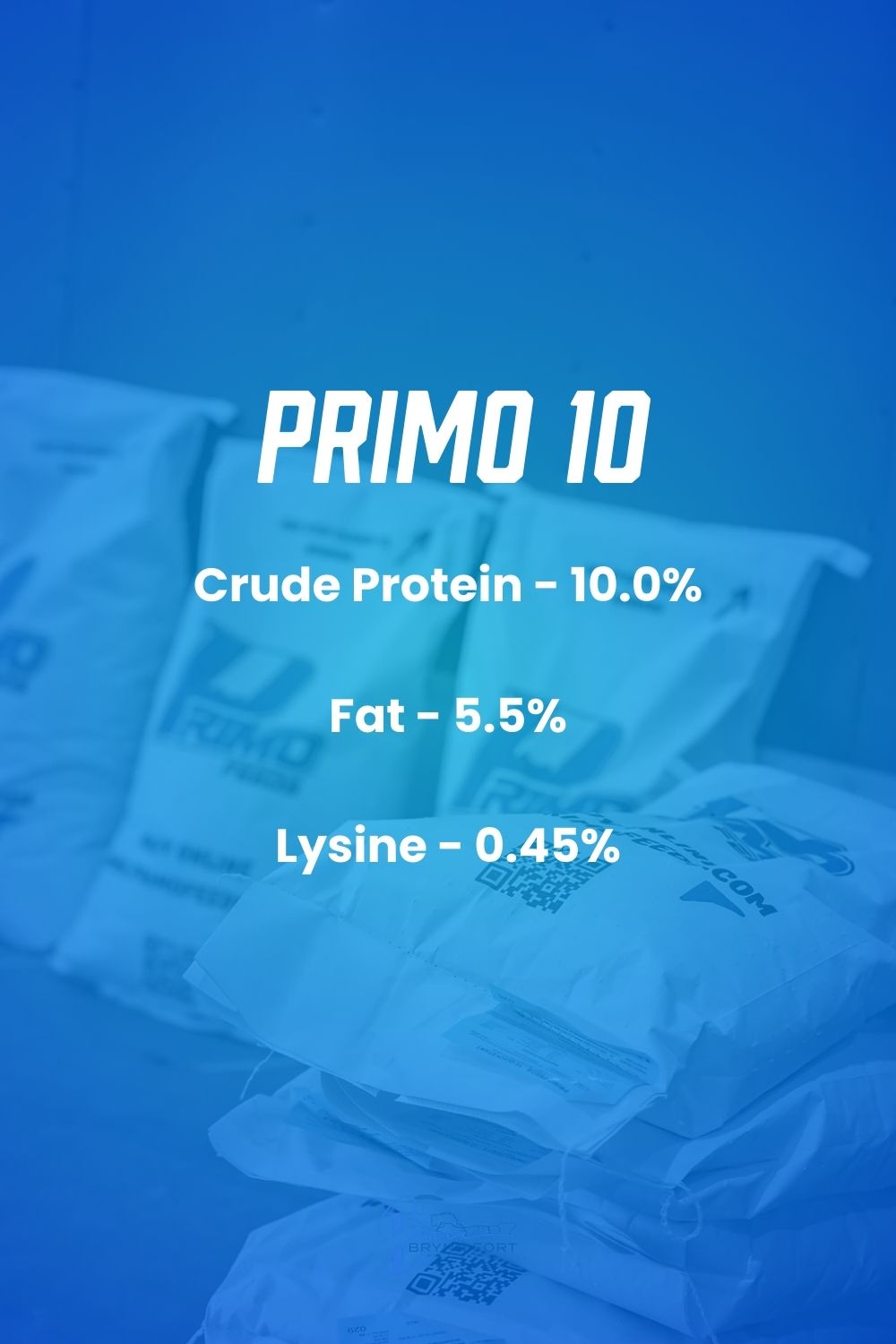 Primo 10