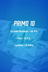 Primo 10