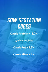 Primo Sow Cube - Ton