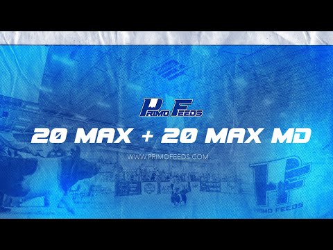 Primo 20 Max