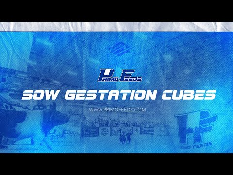 Primo Sow Cube - Ton