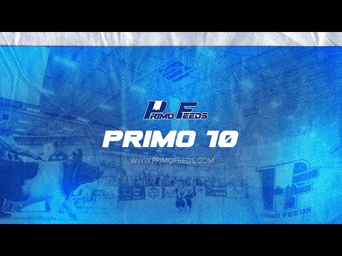 Primo 10