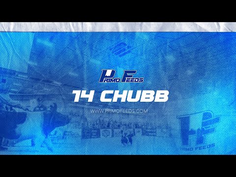 Primo 14 Chub